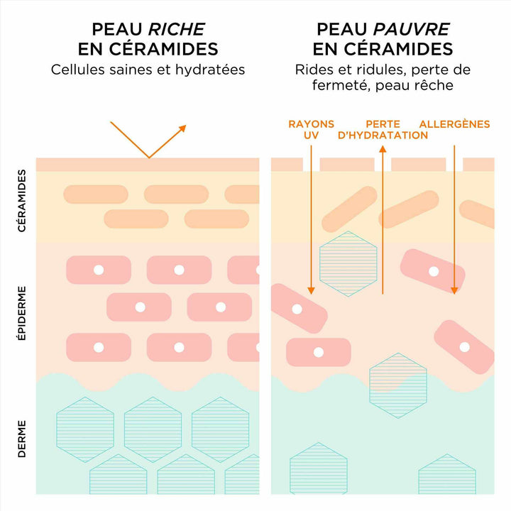 Advanced Ceramide Capsules Sérum Quotidien Rénovateur de Jeunesse