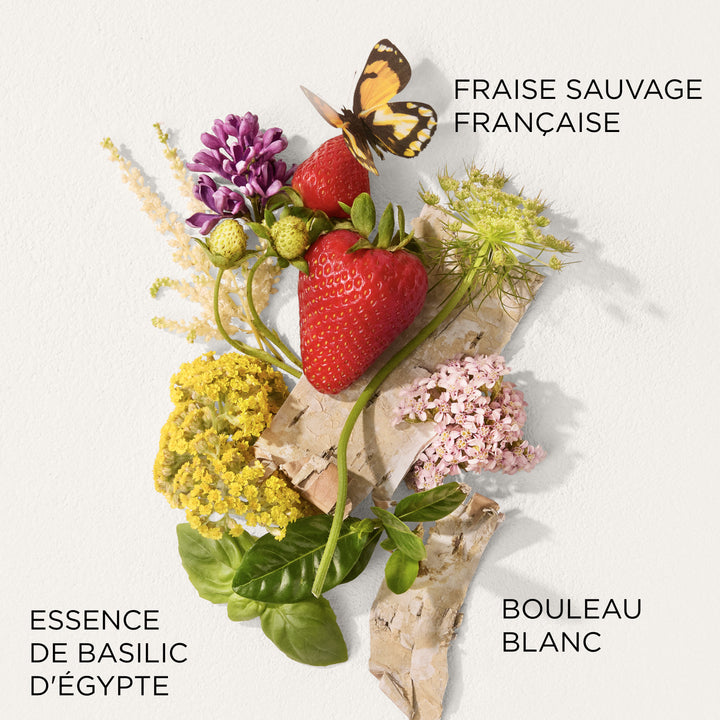 Green Tea Strawberry Basil Eau de Toilette