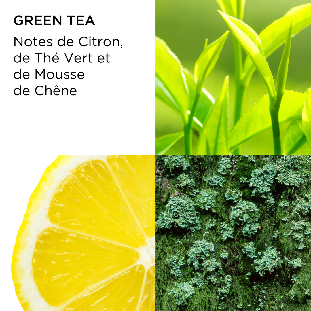 Coffret Trio Parfum Prestige, Red Door 10ml, Green Tea 15ml et White Tea 10ml