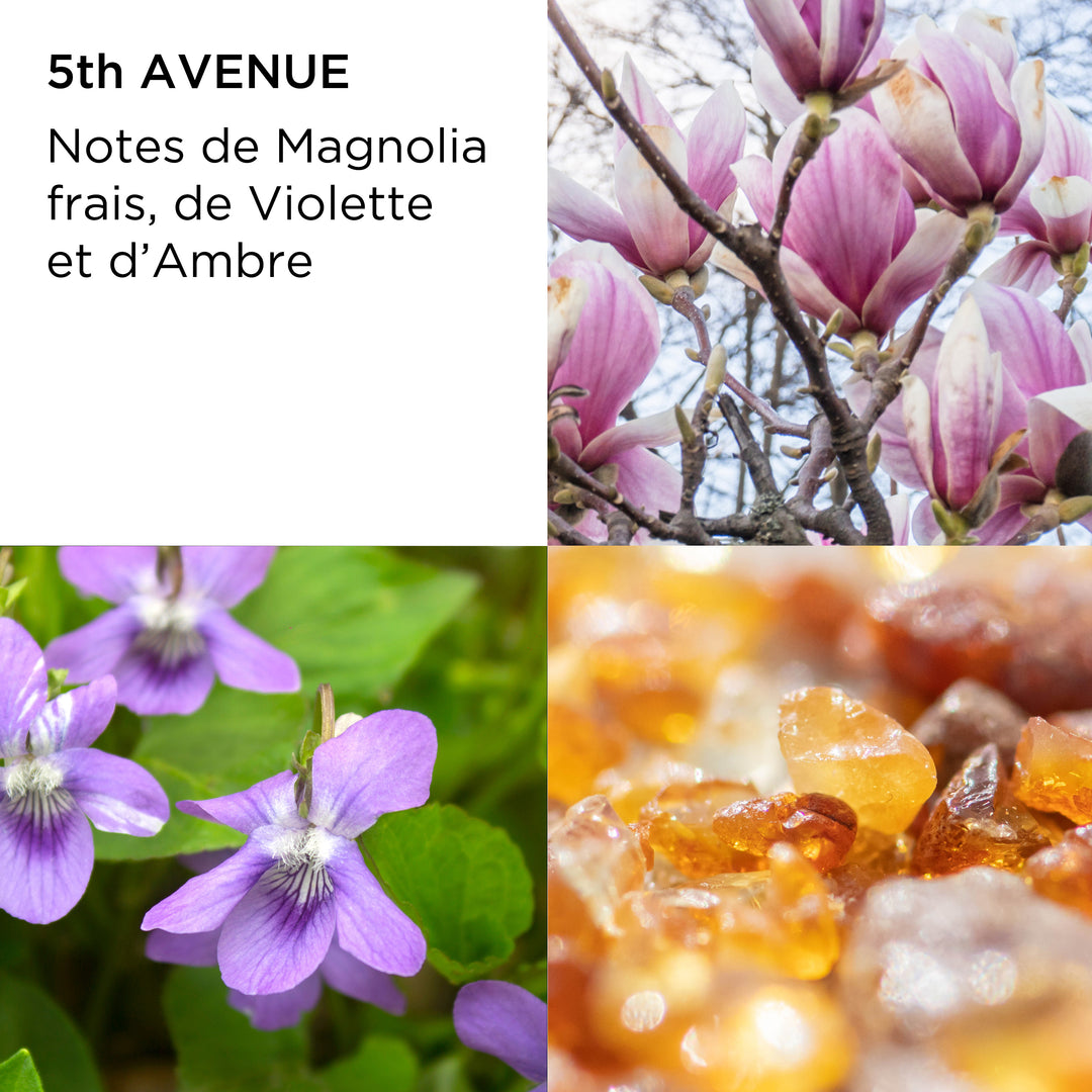 Coffret Eau de Parfum Femme 5th Avenue, Lait Hydratant Corps