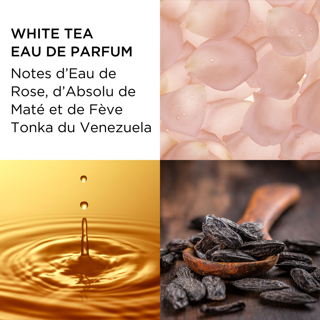 Elizabeth Arden Coffret White Tea Eau de Parfum 14
