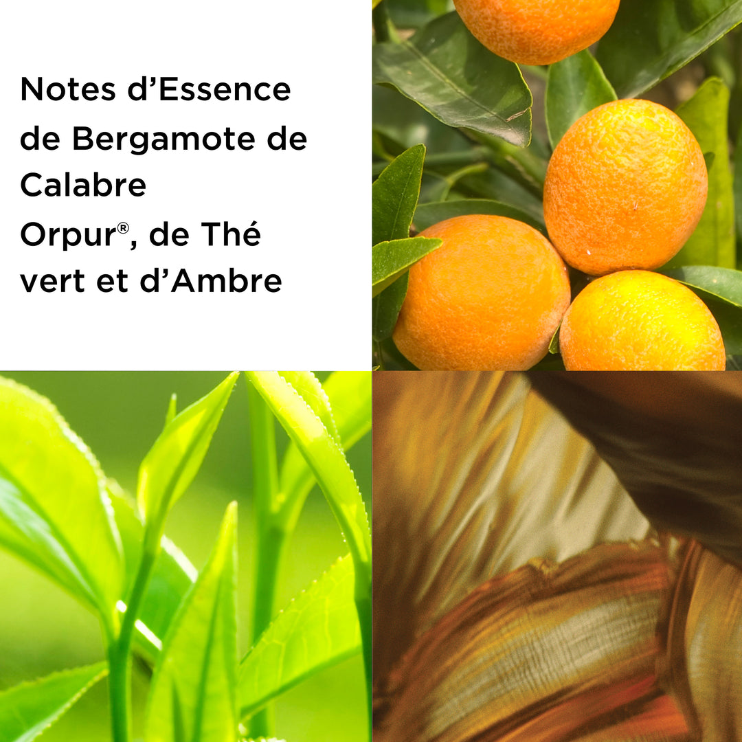 Coffret Eau Parfumée Green Tea, Senteur Fraîche & Fruitée