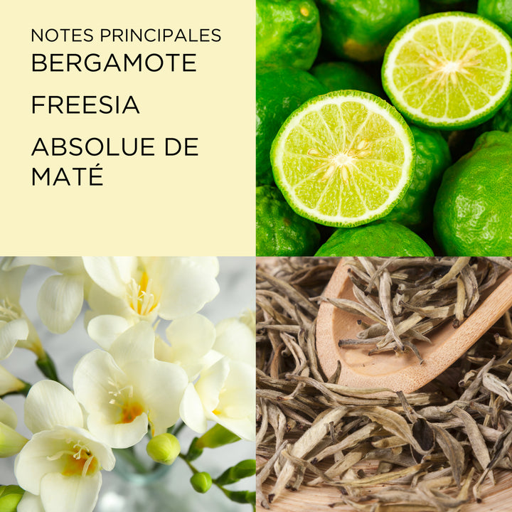 Green Tea Citron Freesia Eau de Toilette Fragrance Spray