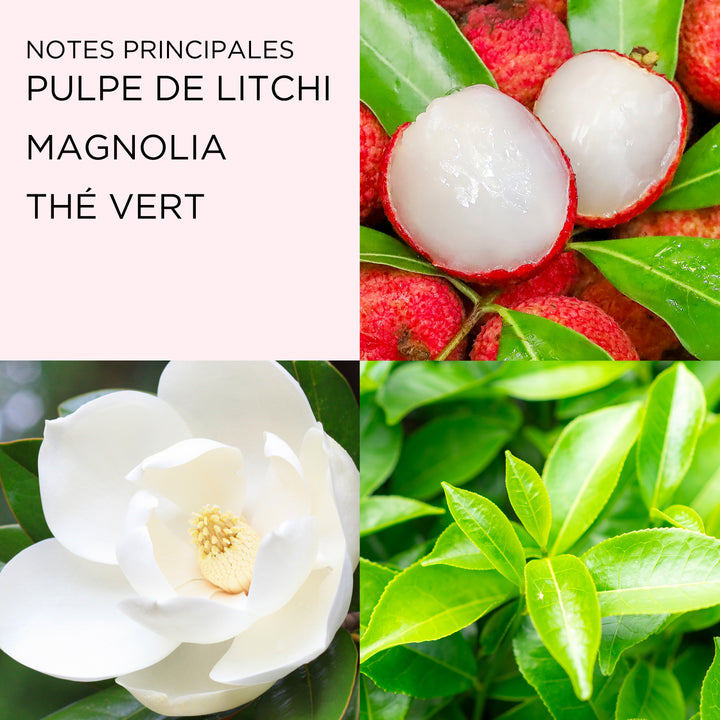 Green Tea Lychee Lime Crème Nectar au Miel pour le Corps