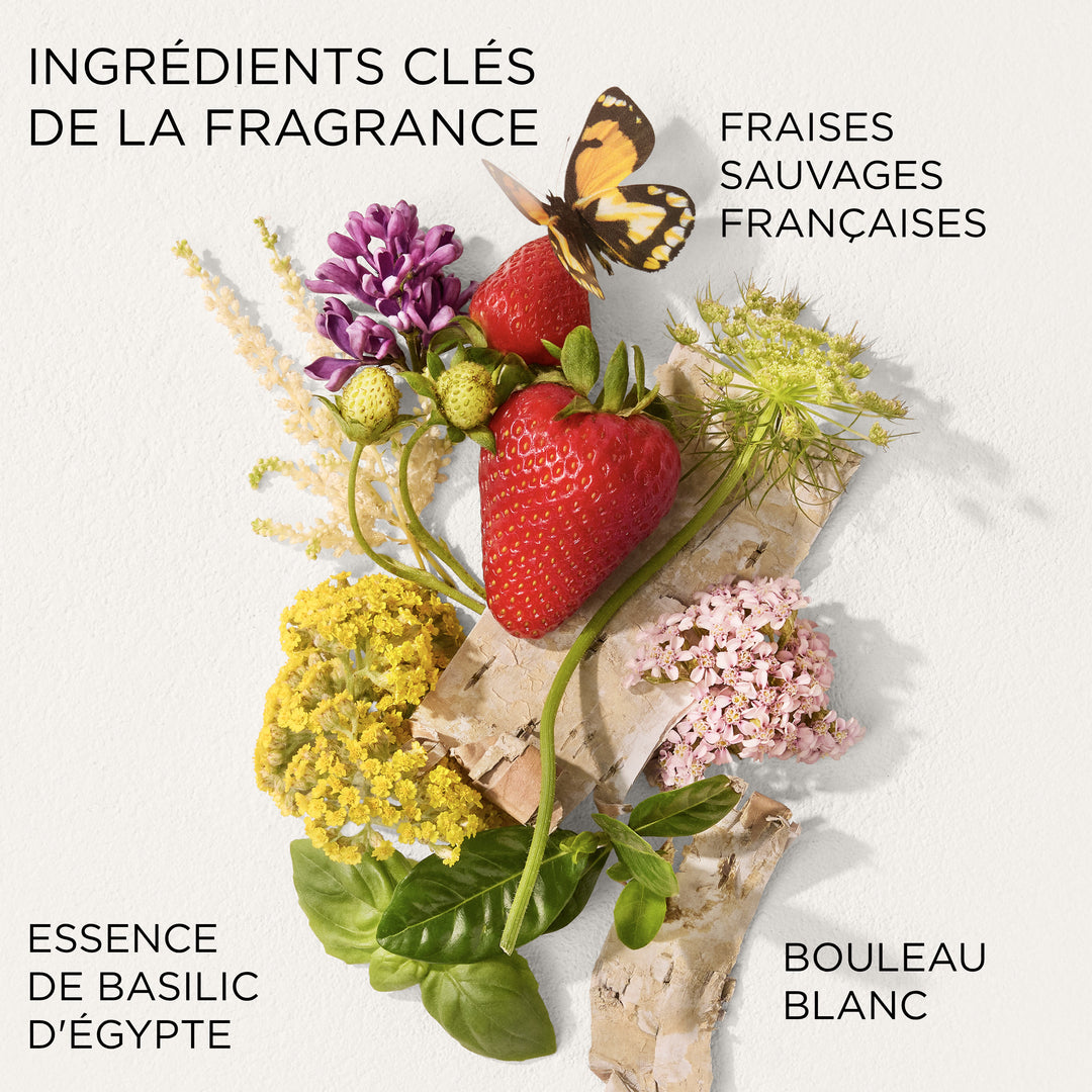 Green Tea Crème Strawberry Basil pour le corps